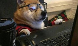 娱乐吃瓜酱怕狗大哥